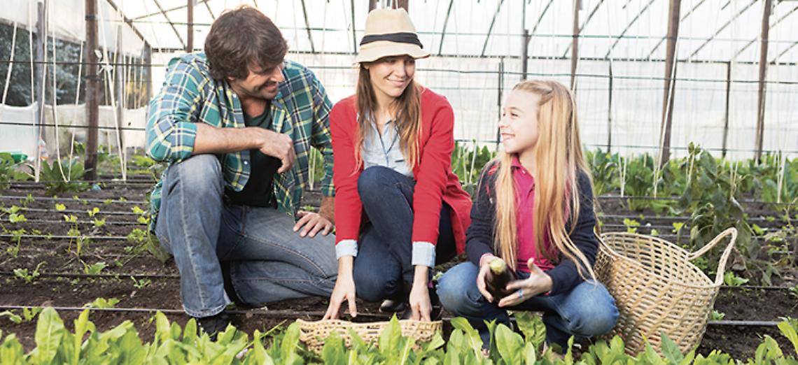 Fattorie Didattiche aperte in Lombardia