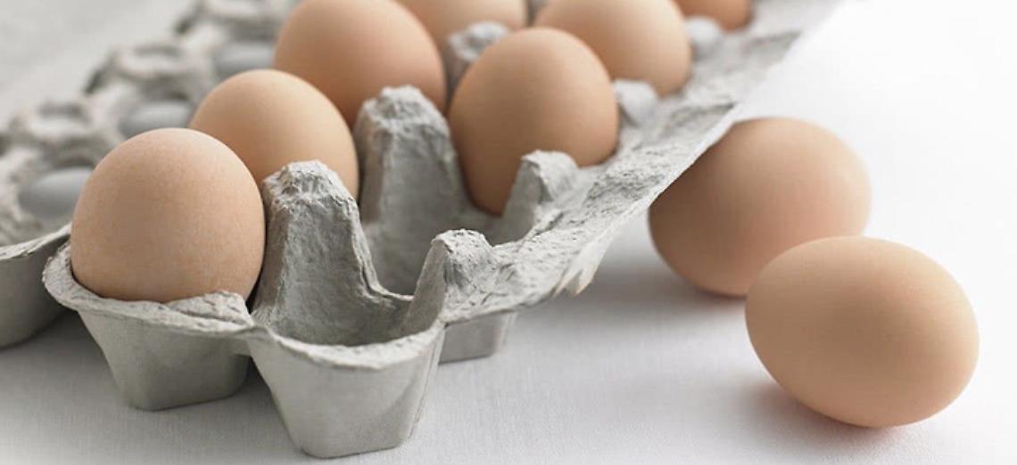 Le uova dei nostri allevamenti sono sicure