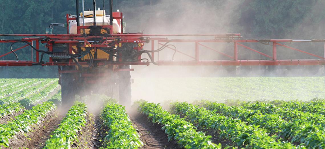 &ldquo;Positivo il rinnovo della licenza per il glifosate, ora l&rsquo;Italia non faccia pericolose fughe in avanti&rdquo;