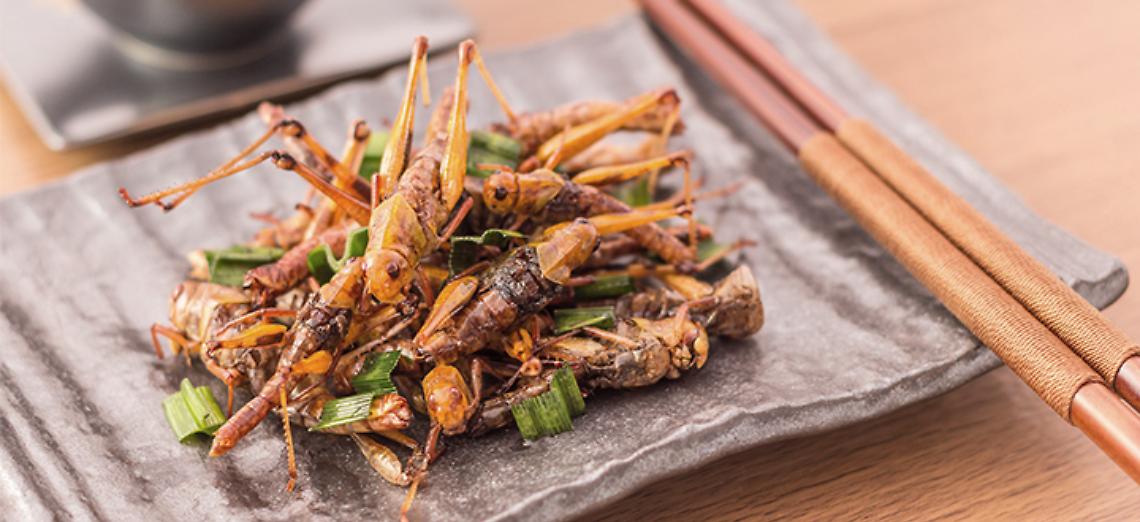 Cavallette in agriturismo? No grazie: &ldquo;Difendiamo la tradizione culinaria italiana legata al territorio&rdquo;