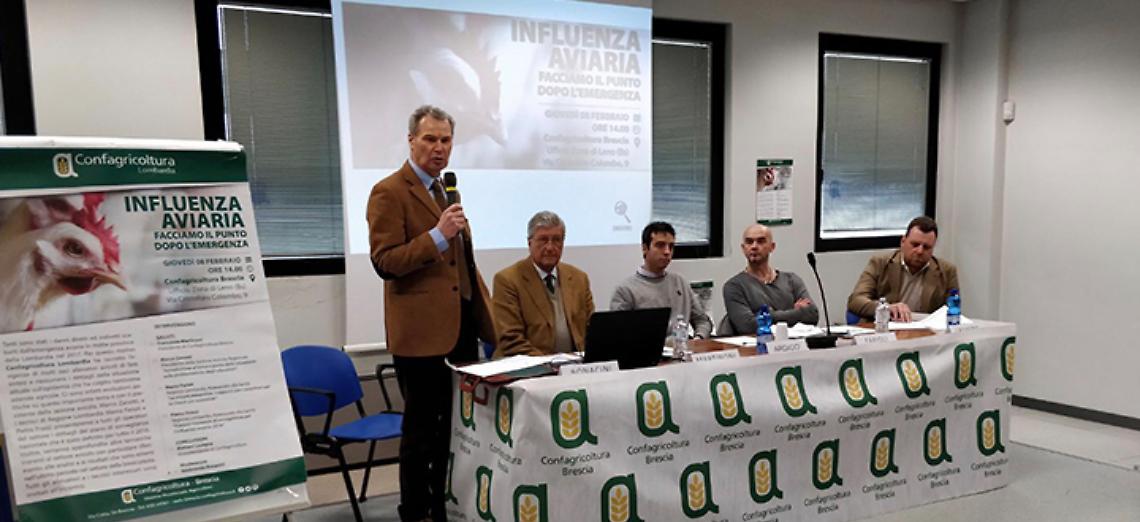 Aviaria, non ci sono nuovi focolai ma si contano i danni: è stato abbattuto il 10% della popolazione avicola bresciana