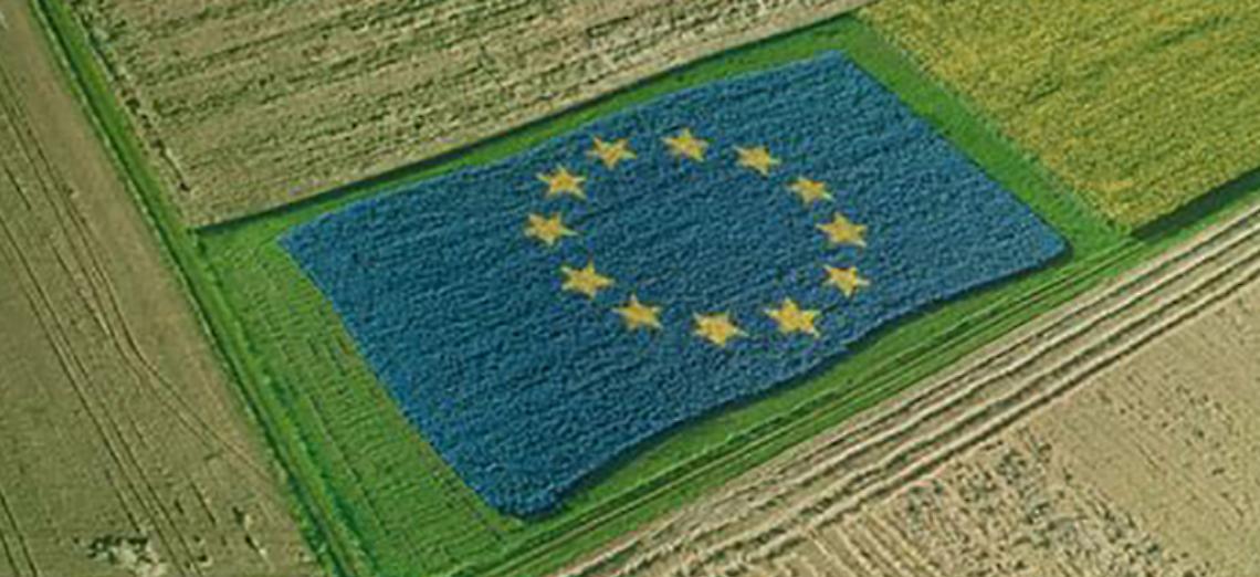 Anticipo Pac, “un’ottima notizia per le imprese agricole lombarde”