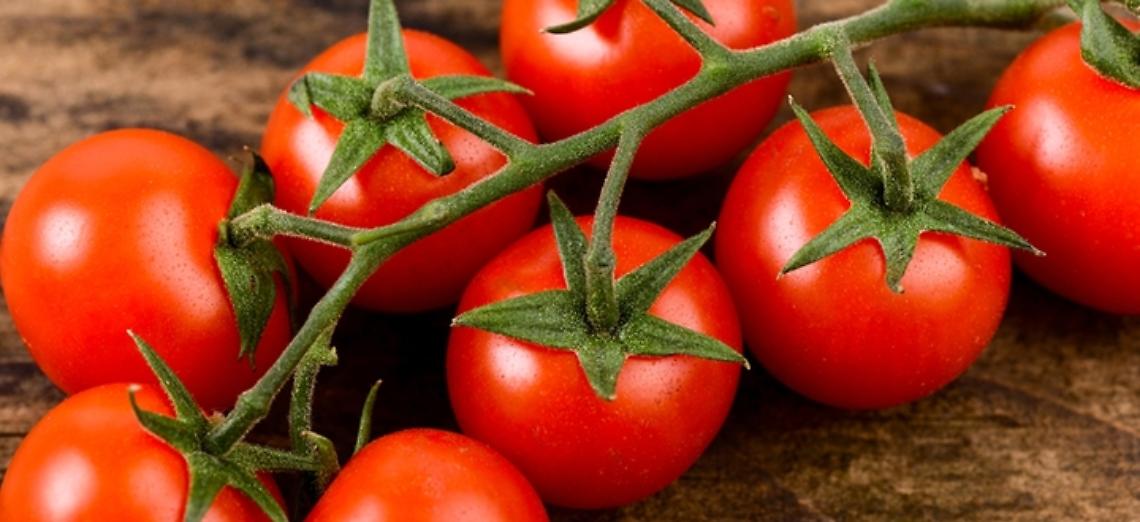 Libera di Cremona, al via il primo degli incontri dedicato al pomodoro per la serie &ldquo;AgricUltura. Cr. Ue&rdquo;