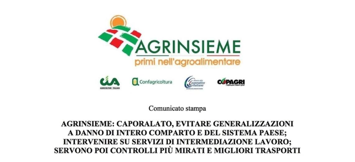 AGRINSIEME: CAPORALATO, EVITARE GENERALIZZAZIONI A DANNO DI INTERO COMPARTO E DEL SISTEMA PAESE; INTERVENIRE SU SERVIZI DI INTERMEDIAZIONE LAVORO; SERVONO POI CONTROLLI PI&Ugrave; MIRATI E MIGLIORI TRASPORTI