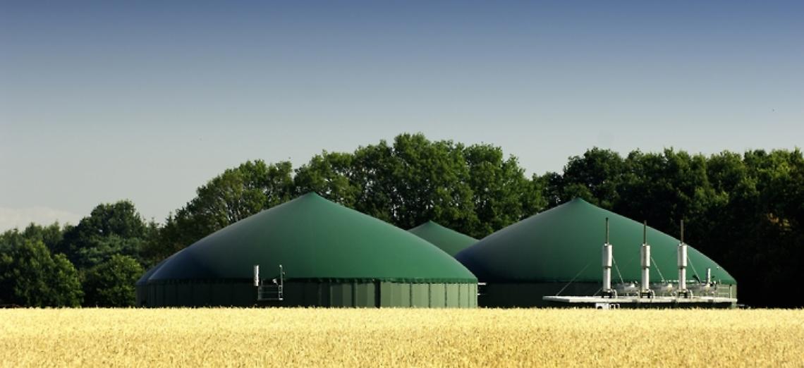 BIOMETANO, GIANSANTI (CONFAGRICOLTURA): &ldquo;LE DICHIARAZIONI DEL SOTTOSEGRETARIO GAVA VANNO NELLA DIREZIONE DELLO SVILUPPO DELLA FILIERA AGRICOLA DEL BIOMETANO&rdquo;