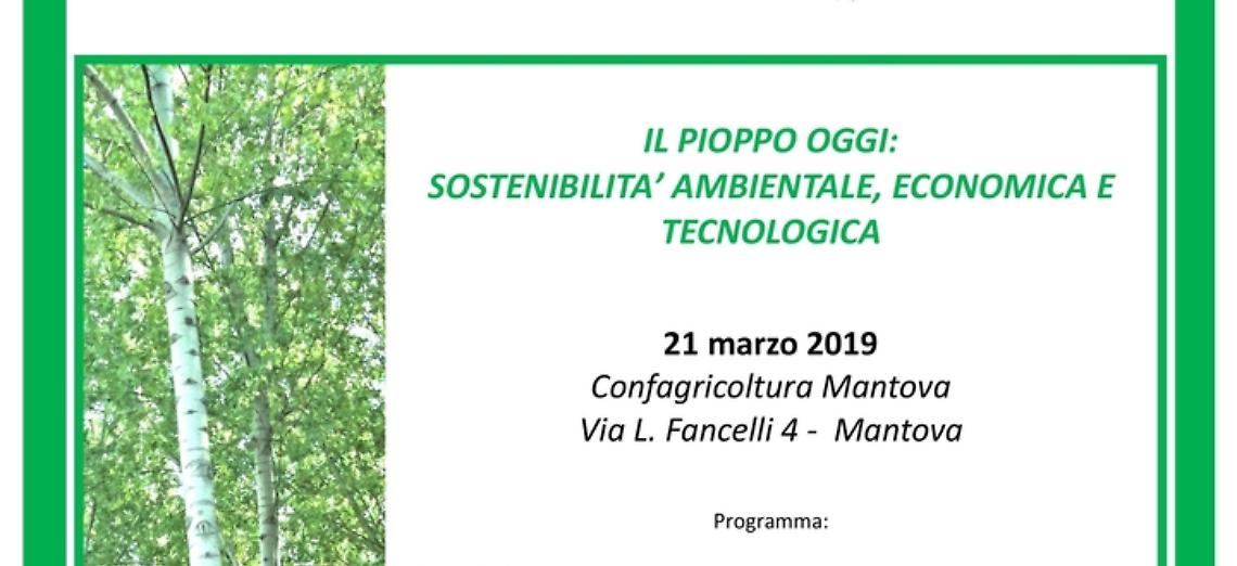 Convegno IL PIOPPO OGGI: SOSTENIBILITA&rsquo; AMBIENTALE, ECONOMICA E TECNOLOGICA -  Mantova - 21 marzo 2019
