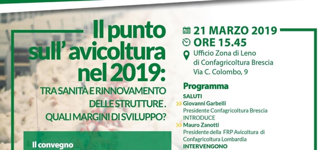 Il punto sull&rsquo; avicoltura nel 2019
