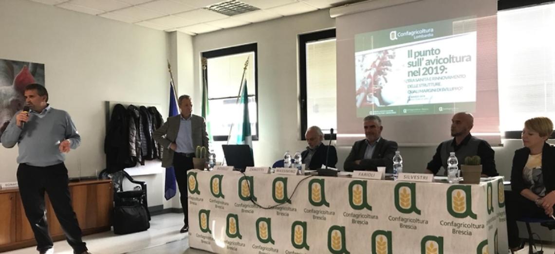 AVICOLTURA, &ldquo;LE NORME SUL BENESSERE SI TRASFORMINO IN OPPORTUNITA&rdquo;