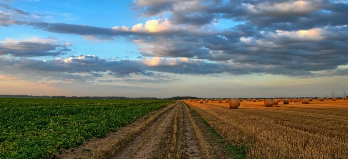 Accordo ministero dell&rsquo;Interno &rdquo;&ldquo; Agea per le certificazioni antimafia, Boselli: &ldquo;Ora si sblocchino i pagamenti dei premi comunitari&rdquo;