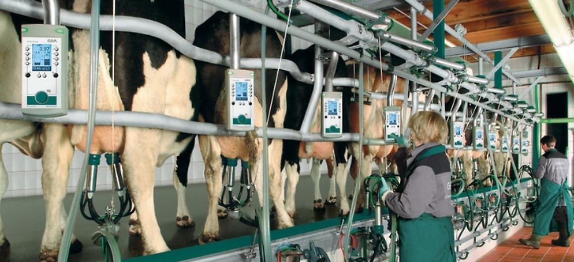 Prezzo del latte: Italatte minaccia di non rispettare il contratto, Boselli: &ldquo;Siano riconosciuti 41,5 centesimi/litro come concordato&rdquo;