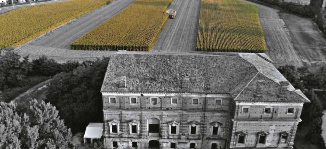 A Mantova torna la rassegna fotografica &laquo;Giovane Terra: crescere senza invecchiare&raquo;