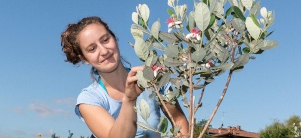 Addio a Giulia, il cordoglio del gruppo Anga