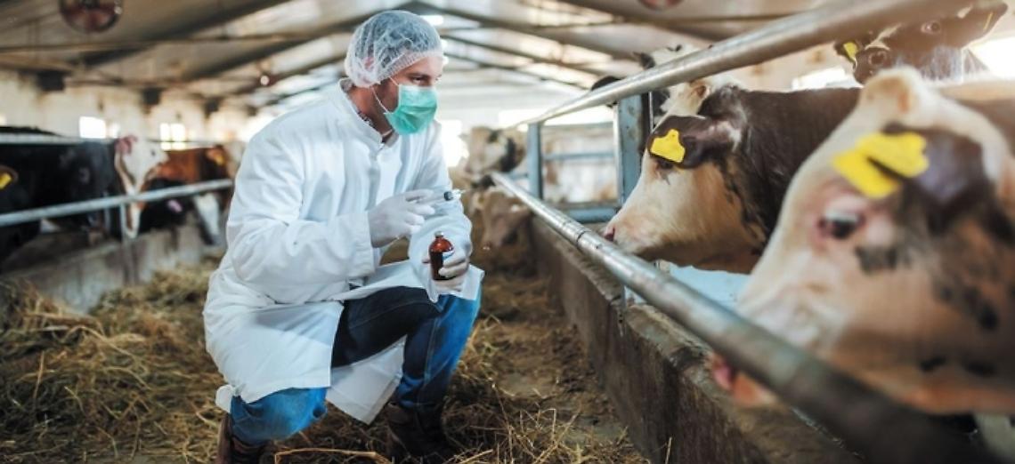 Un focus sull&rsquo;antibiotico resistenza