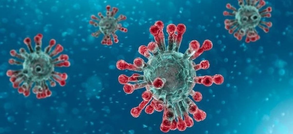 Emergenza Coronavirus, gravi problemi per le aziende agricole che operano sia dentro che fuori la “zona rossa”
