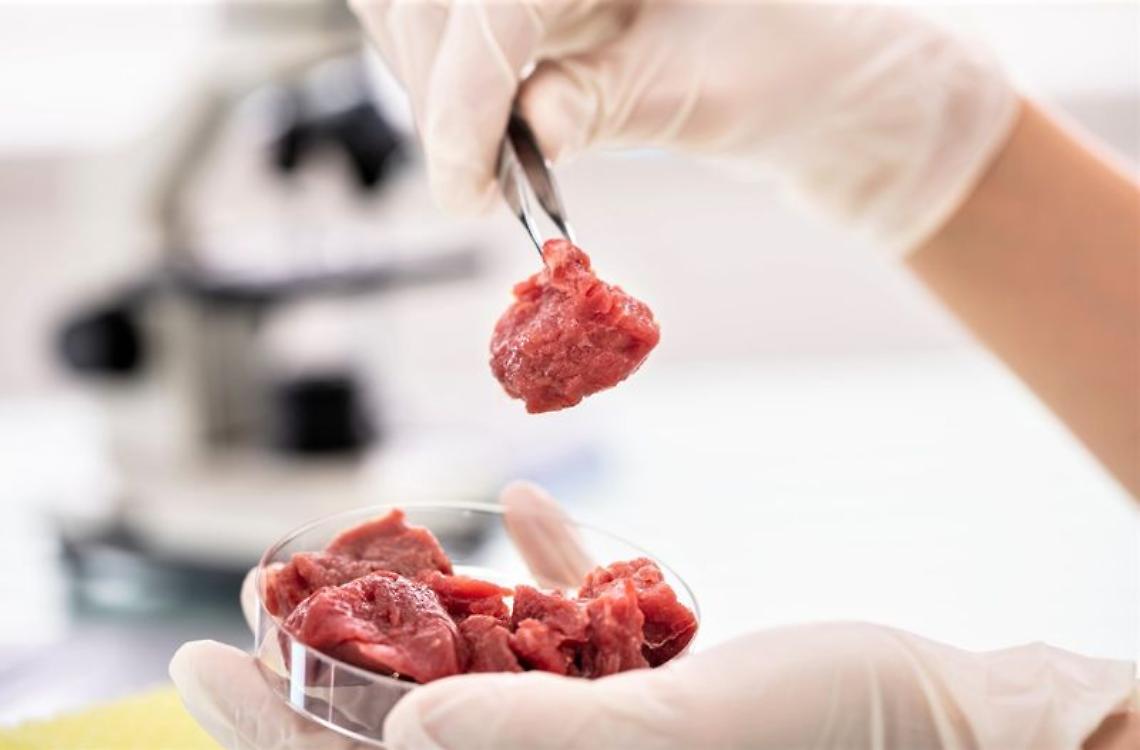 Carne coltivata in laboratorio