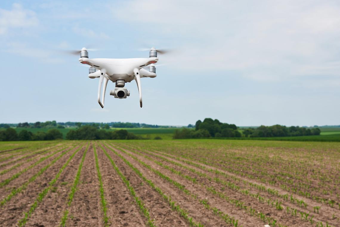 drone quad copter with high resolution digital camera on green corn field