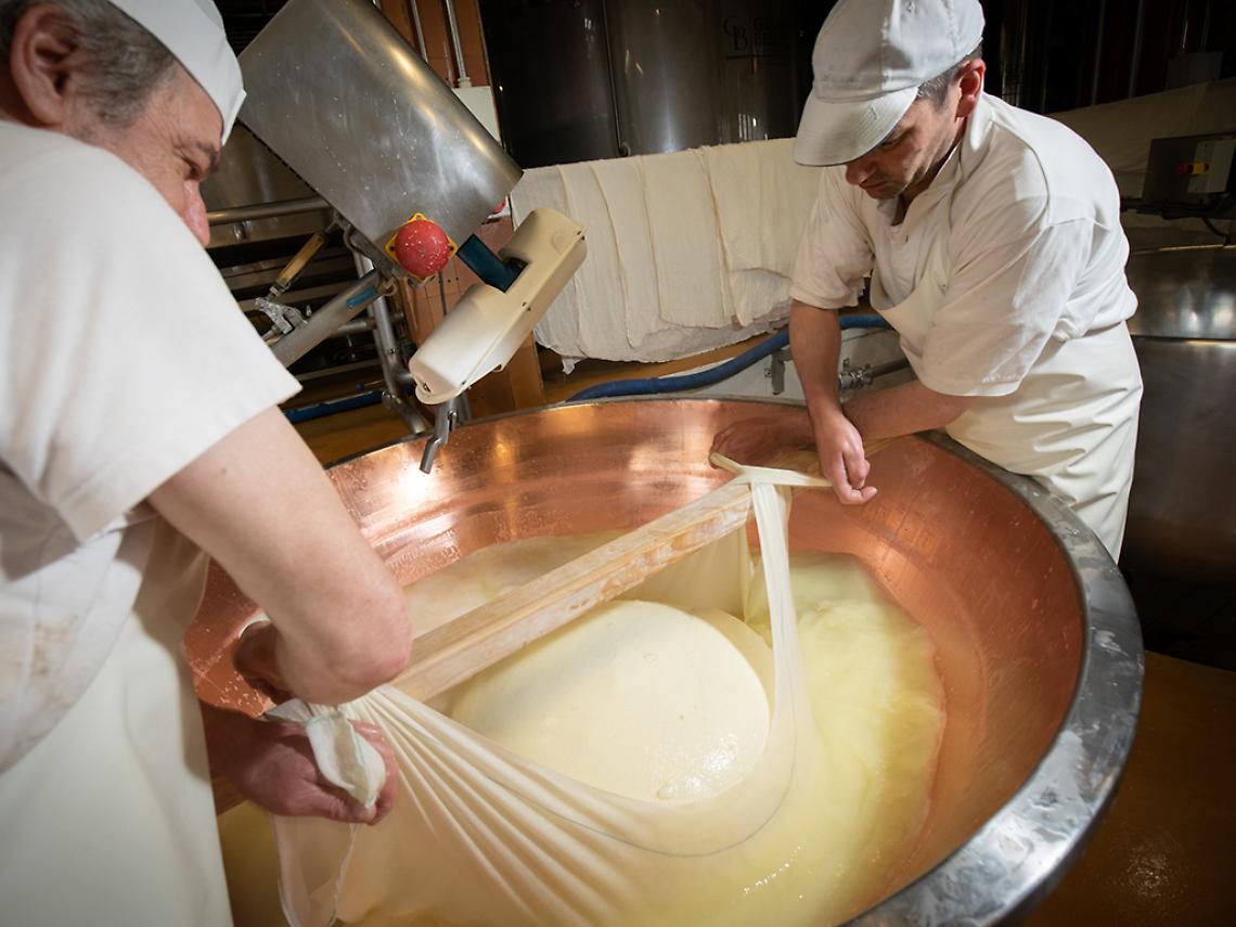 Lavorazione del Grana Padano
