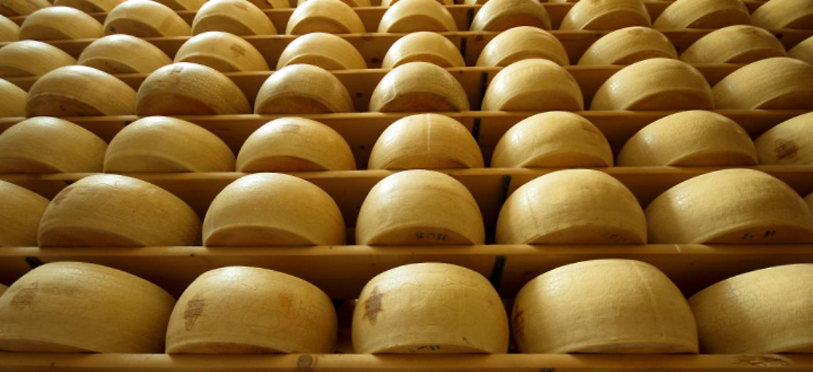 grana padano