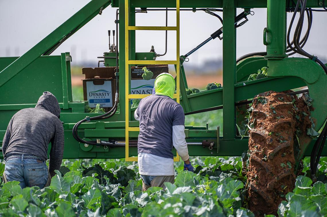 Lavoratori stagionali