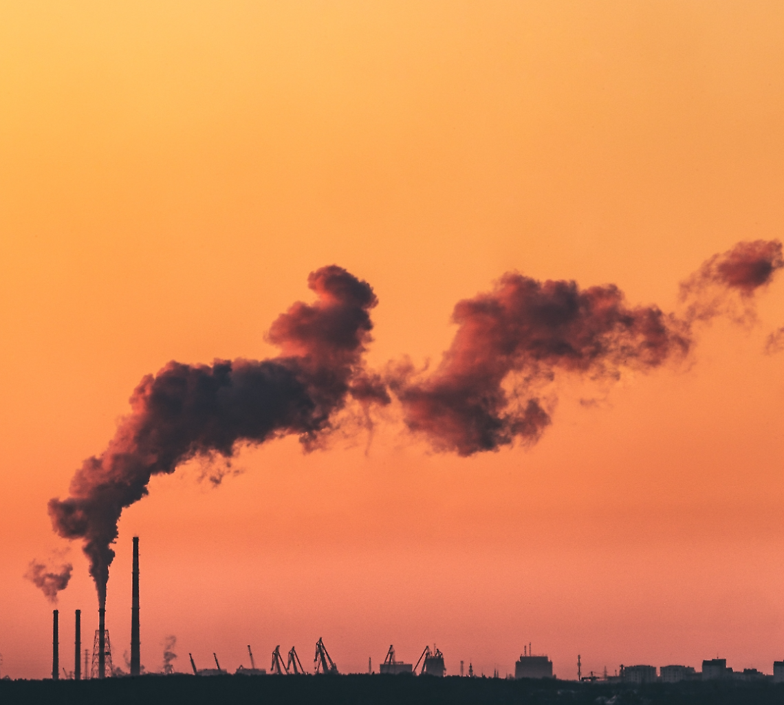 Carbon farming, Confagricoltura soddisfatta per l’emendamento al DL PNRR che valorizza il ruolo di agricoltori e forestali