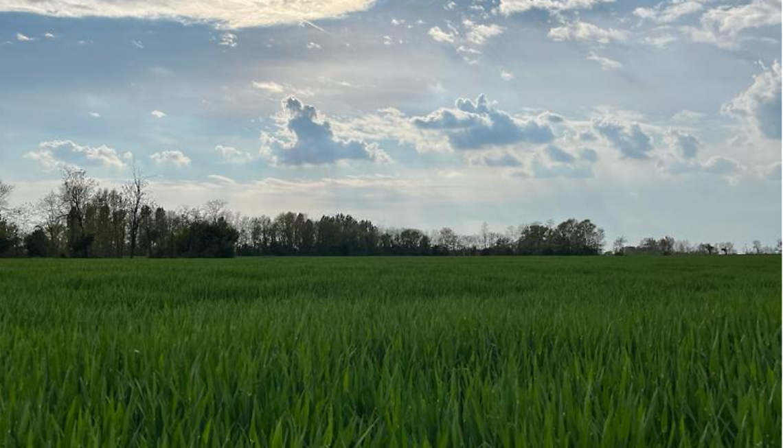Giornata Mondiale della Terra: l’attività agricola protagonista contro il consumo di suolo