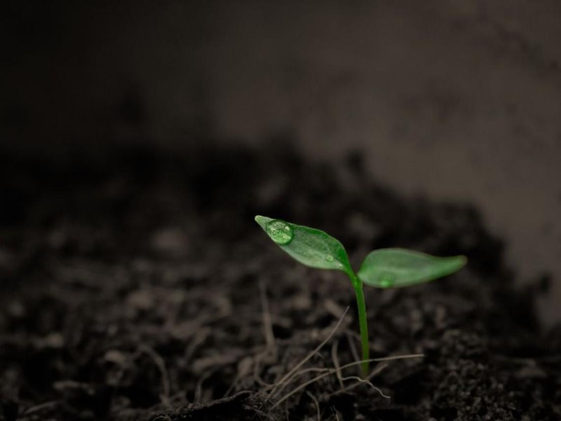 EARTH DAY