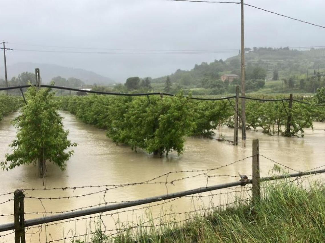 frutteti sommersi campagna di Cesena