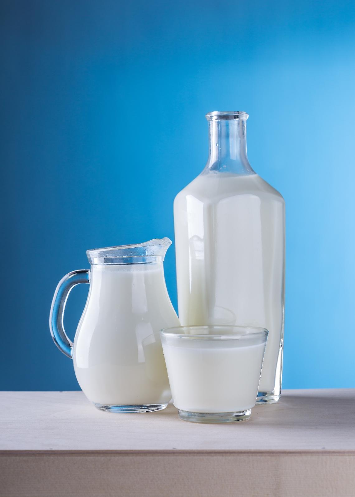 Si sta stabilizzando la produzione di latte nella Ue 