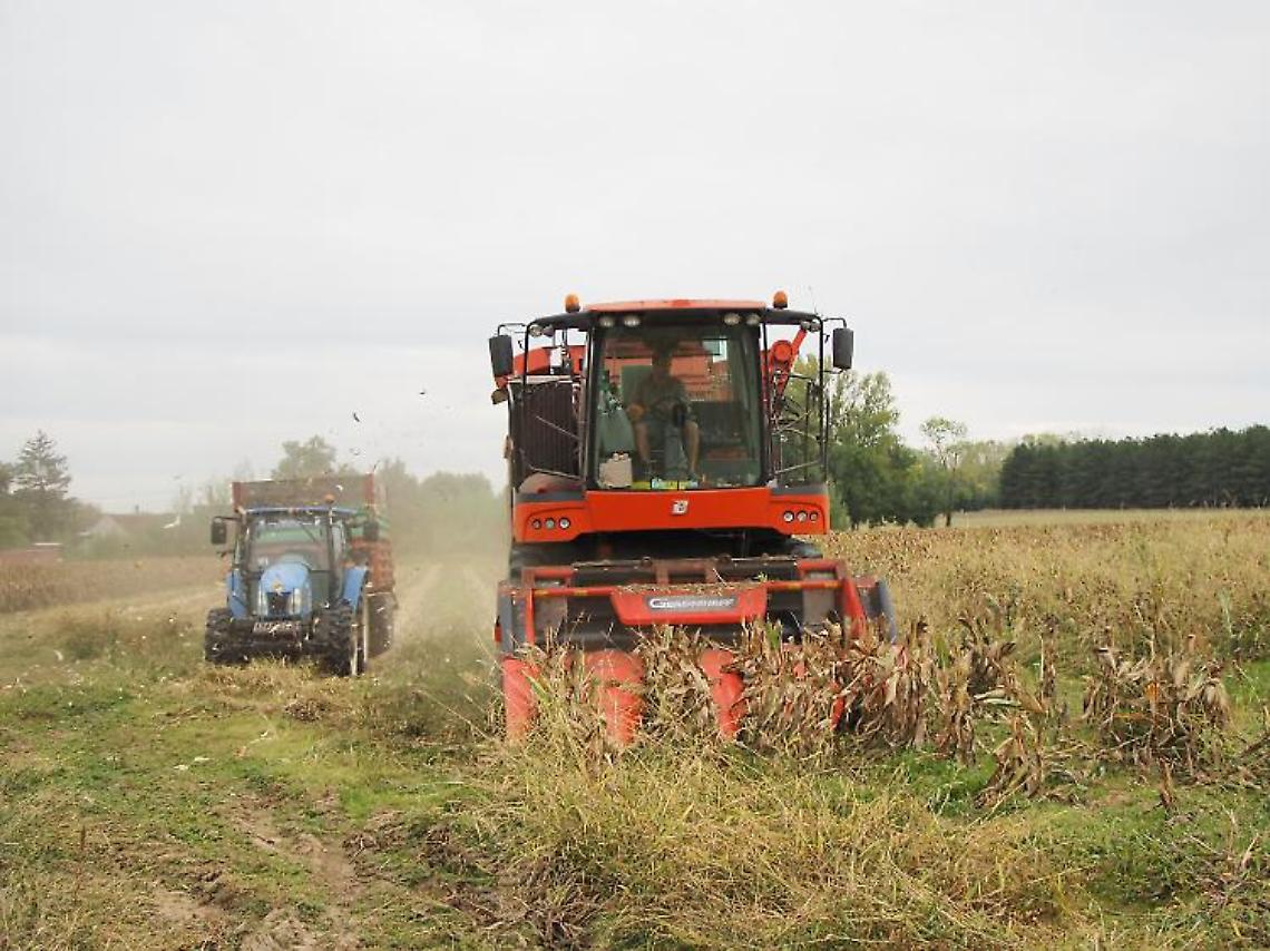L'associazione dei maiscoltori invitata in Francia a visitare la filiera per la produzione di mais da seme