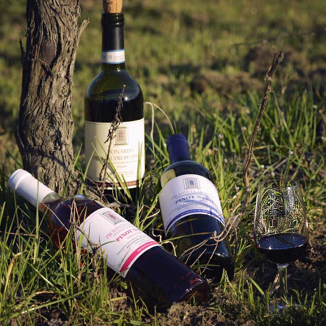 Azienda Agricola San Vincenzo