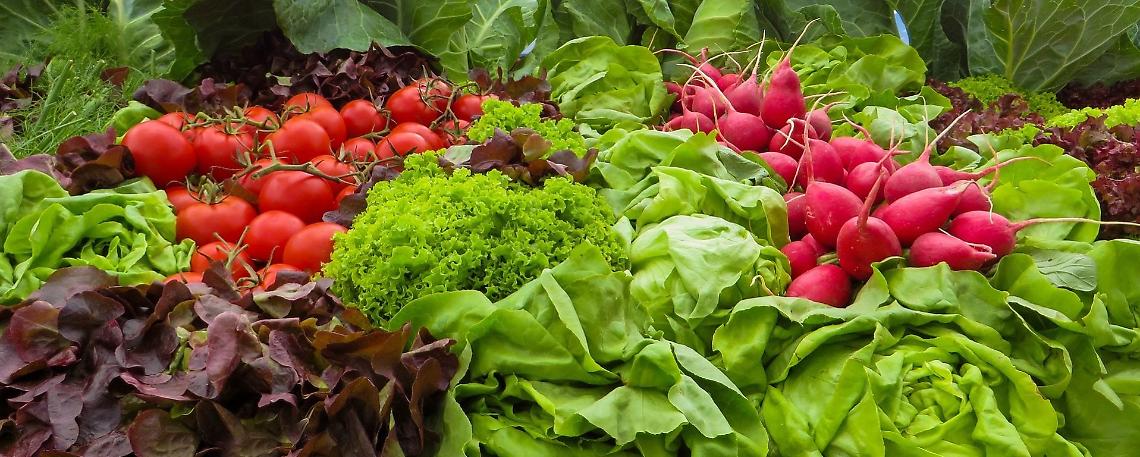 IMBALLAGGI, CONFAGRICOLTURA: IL VOTO DELLA COMMISSIONE AMBIENTE PENALIZZA L’ORTOFRUTTA. SALVO IL VINO. IL VOTO IN PLENARIA A META’ NOVEMBRE