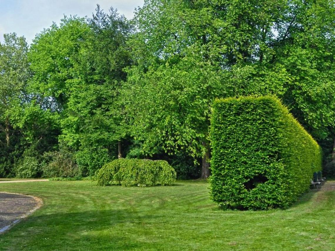 GIORNATA MONDIALE DEGLI ALBERI, CONFAGRICOLTURA: VALORIZZARE IL PATRIMONIO BOSCHIVO ANCHE PER I SERVIZI ECOSISTEMICI