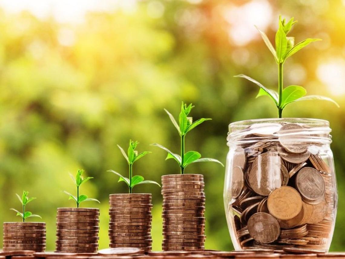 Legge Sabatini, Confagricoltura: Nuovi interventi di finanza agevolata per garantire gli investimenti in agricoltura