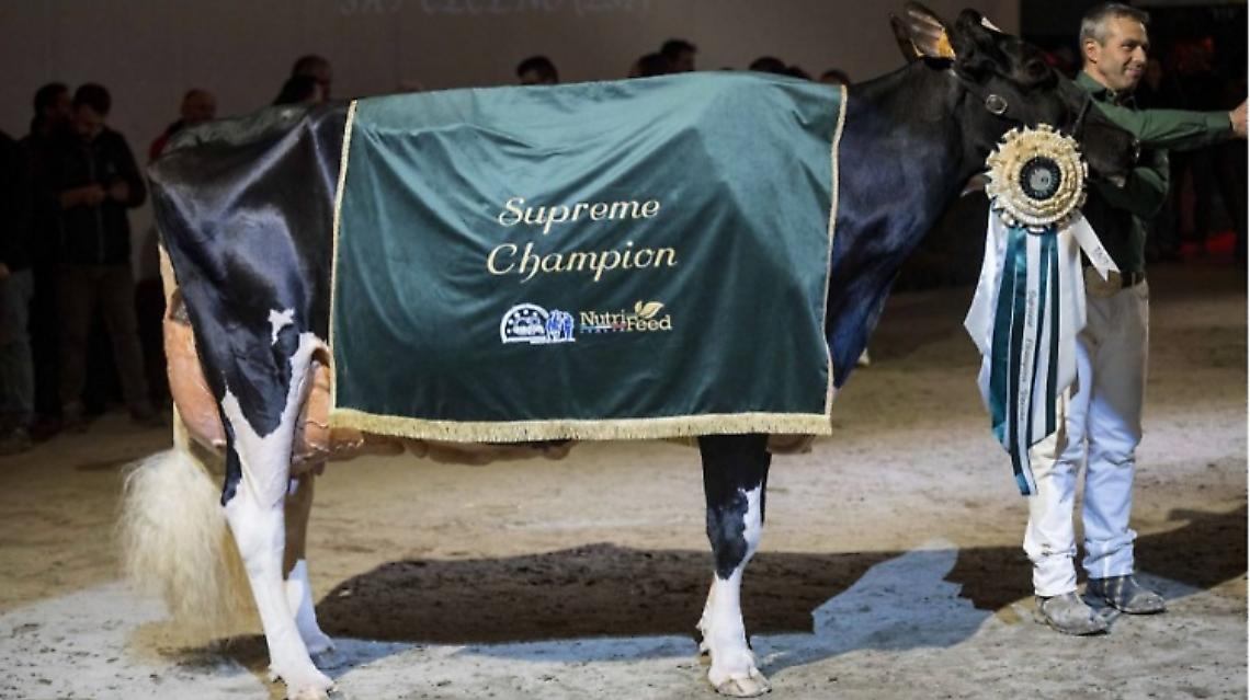 La Supreme Champion 2023