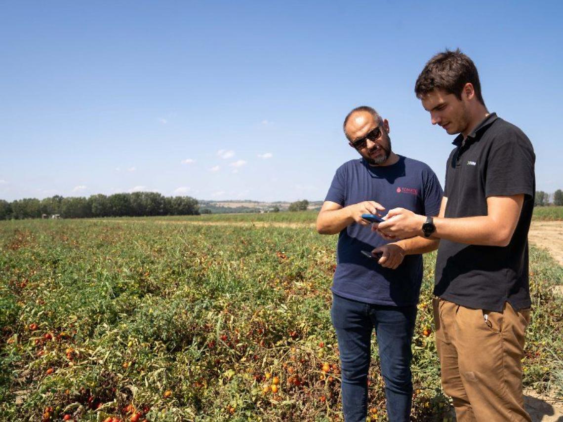 Digitalizzazione delle filiere agroalimentari