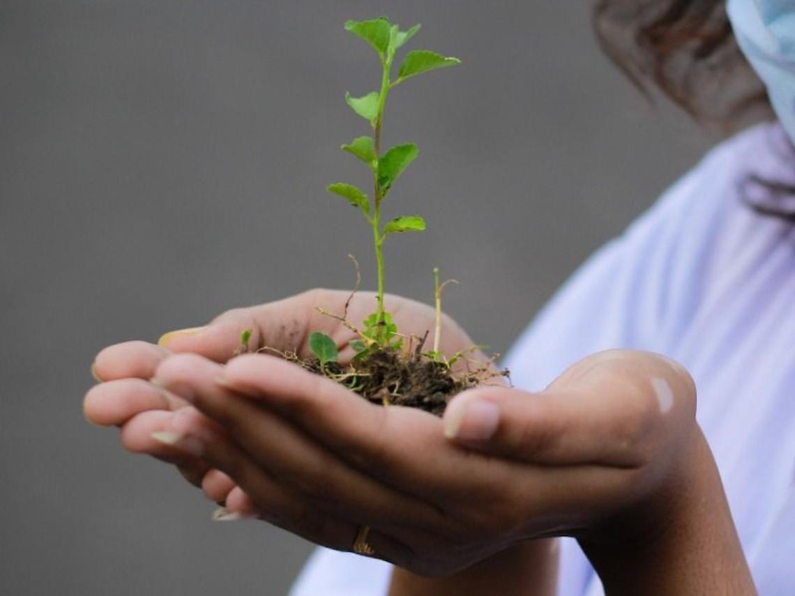 NGT: Bene il sì di oggi al Parlamento UE