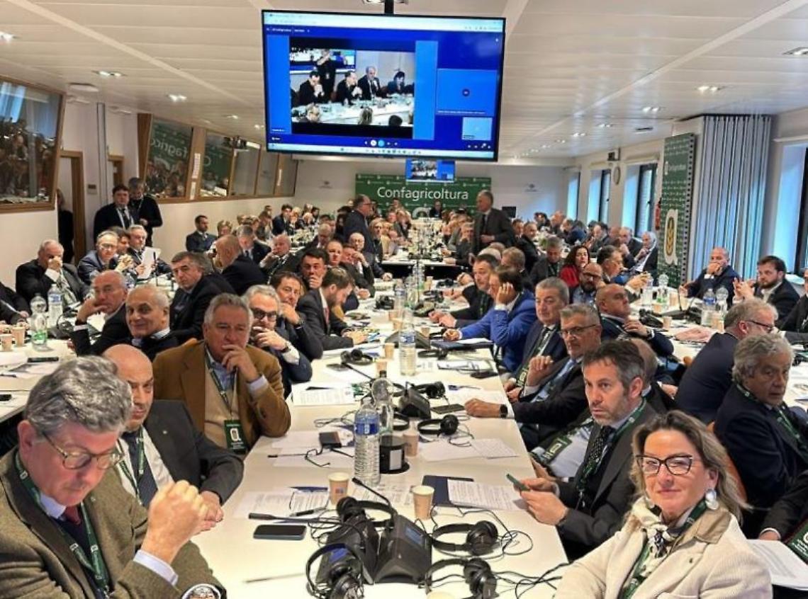 Platea Assemblea Bruxelles
