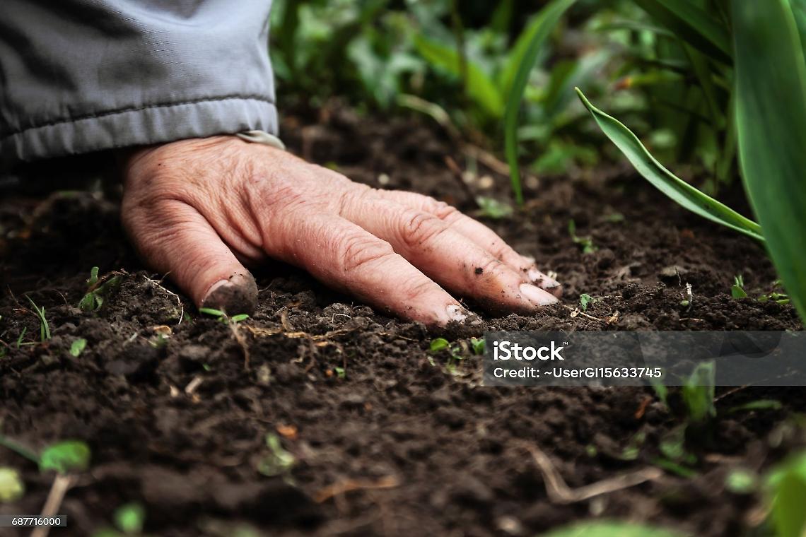 Terreno agrario