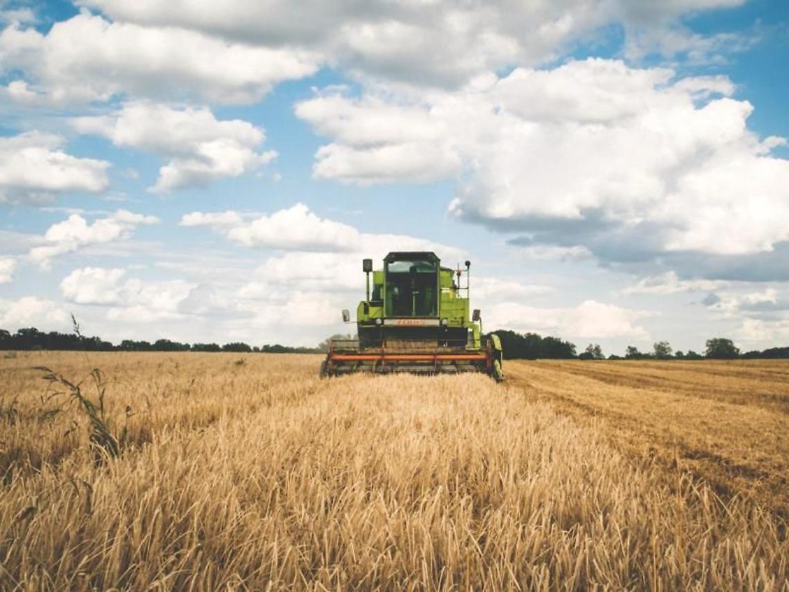  UCRAINA, CONFAGRICOLTURA CHIEDE AGLI EUROPARLAMENTARI DI SOSTENERE L’INCLUSIONE DI CEREALI E SEMI OLEOSI NELLA LISTA DEI PRODOTTI SENSIBILI