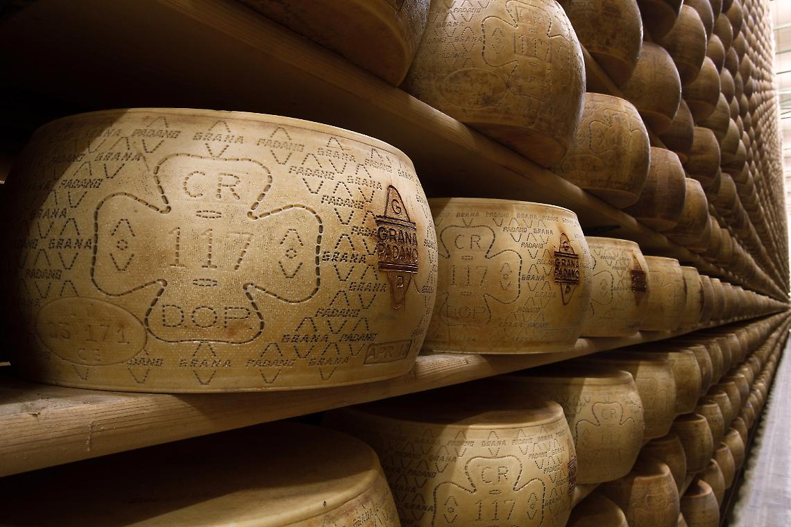 Forme di grana padano in stagionatura