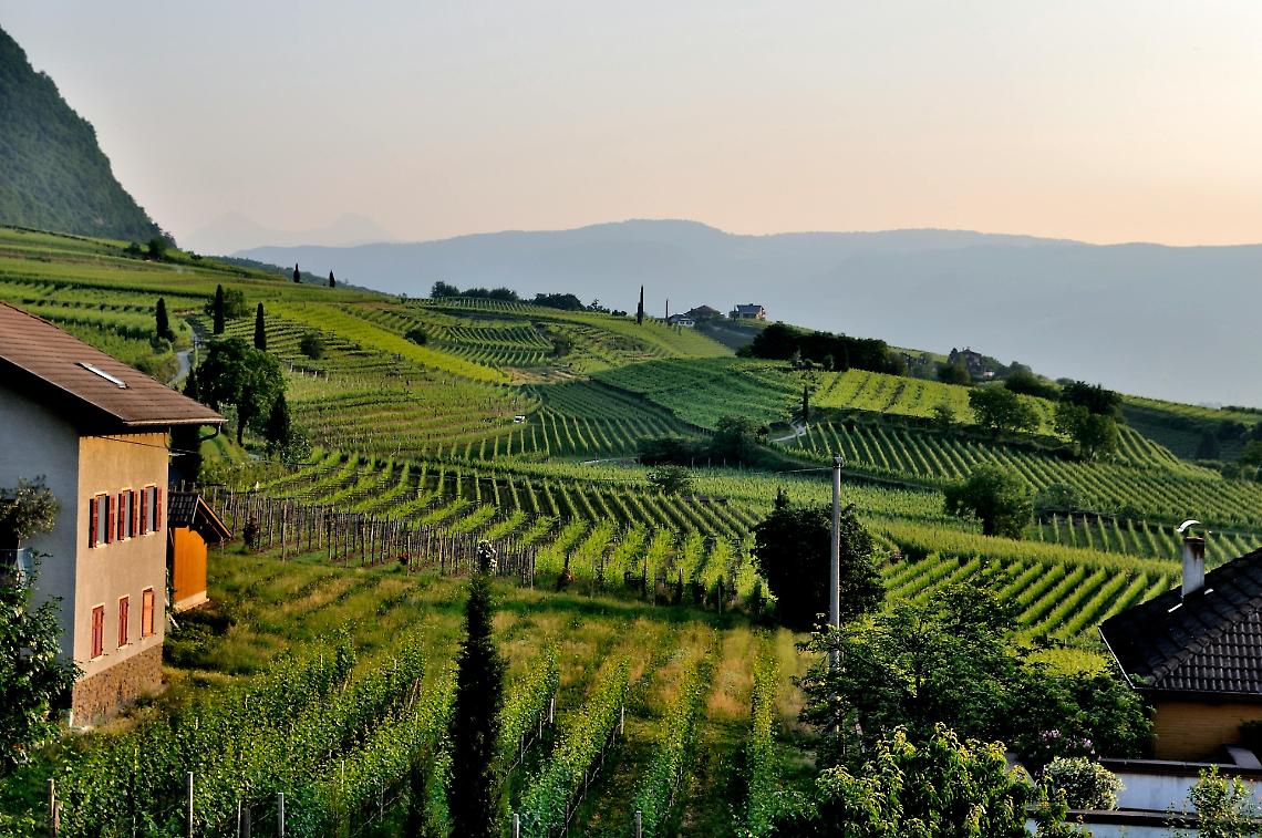 Bando diversificazione, stanziati 5.000.000 per l’implementazione le attività connesse