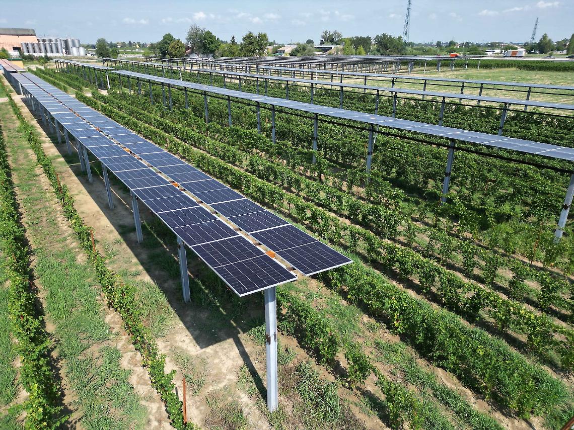 Impianto agrivoltaico