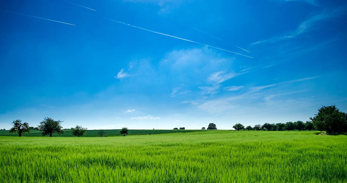 Fao: migliorare il rapporto agricoltura ambiente con la collaborazione di tutti