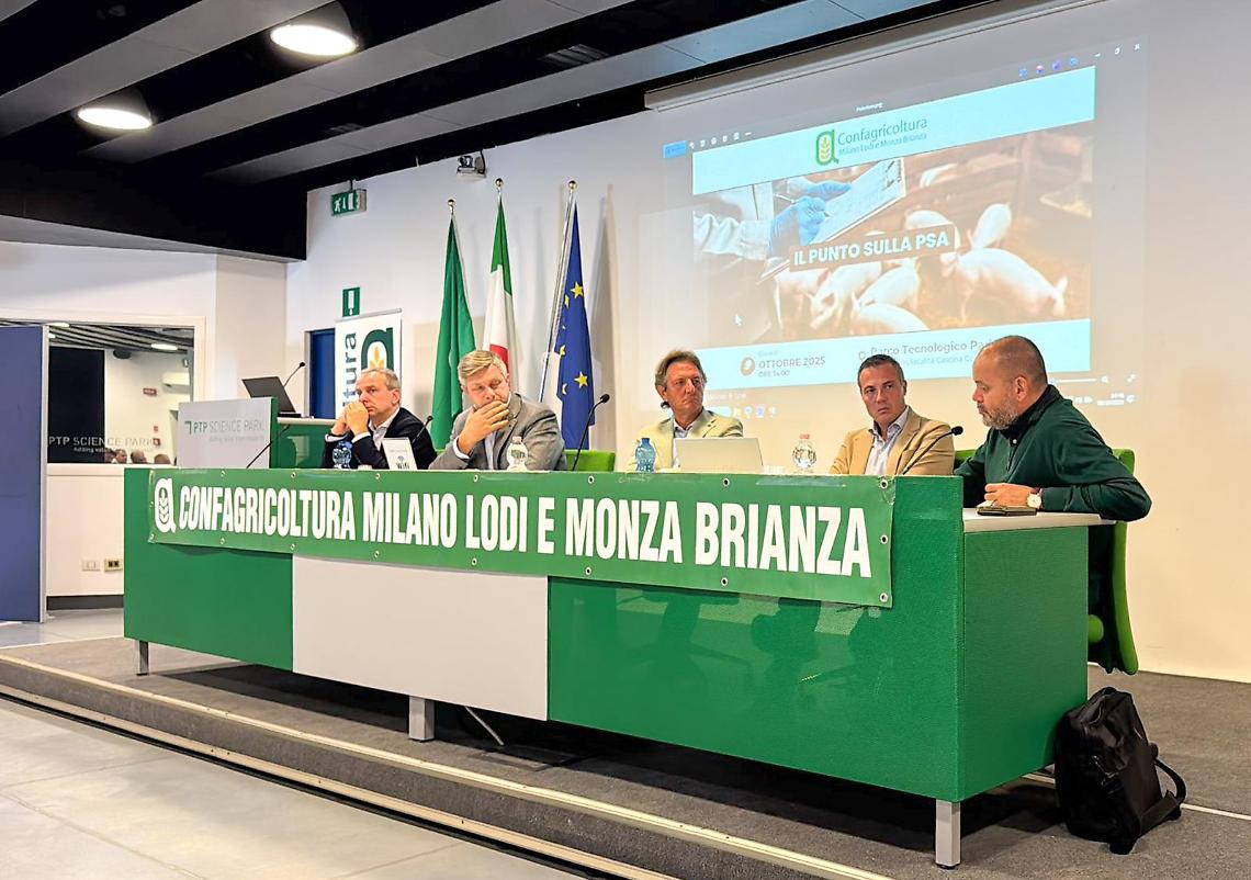 Peste suina africana: 72 comuni fuori dalle restrizioni, ma resta alta l’attenzione