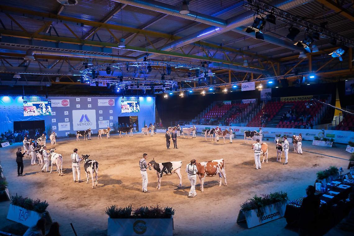 Dal 27 al 29 novembre si terrà l’80^ edizione delle Rassegne zootecniche internazionali di Cremona