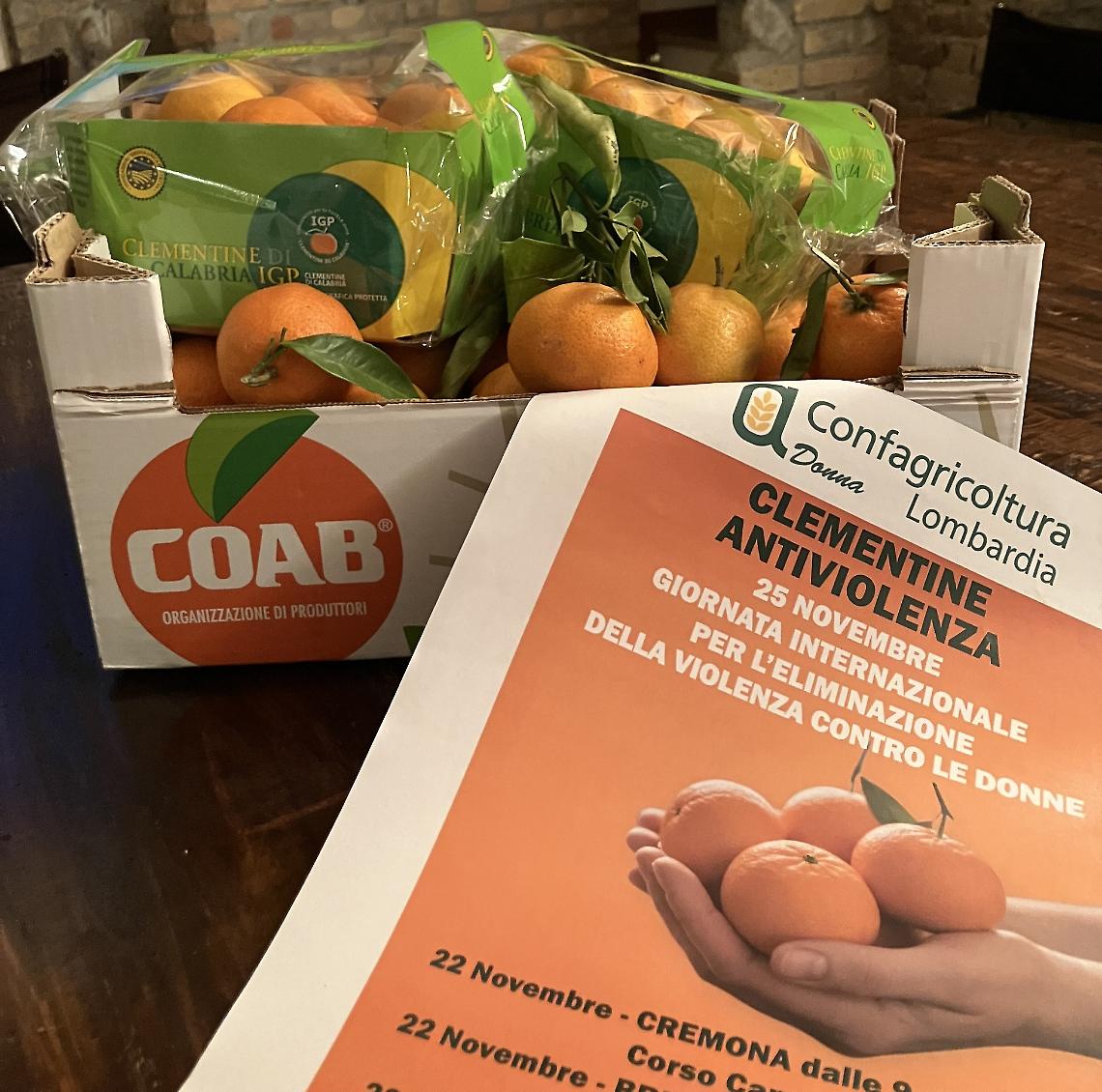 Giornata internazionale per l'eliminazione della violenza contro le donne: le clementine di Confagricoltura Donna tornano nelle piazze lombarde