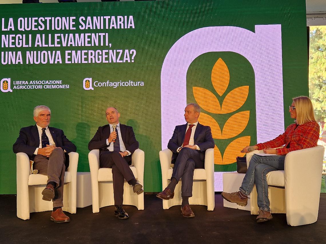 Antonio Boselli, Giovanni Filippini, Francesco Maraschi, Micaela Cappellini