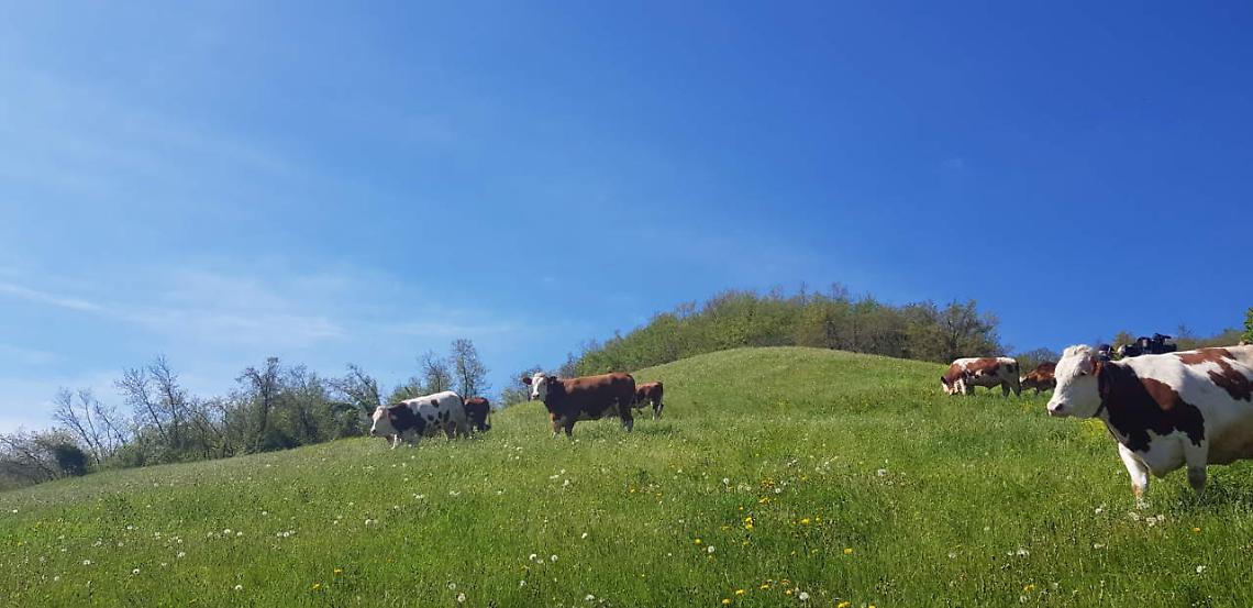 Circolare Agea aziende di montagna: Confagricoltura Lombardia vince il ricorso al Tar e sospende l'adempimento