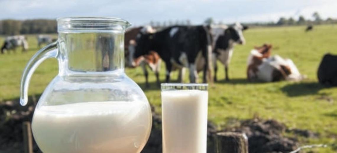 Un confronto sul futuro del latte