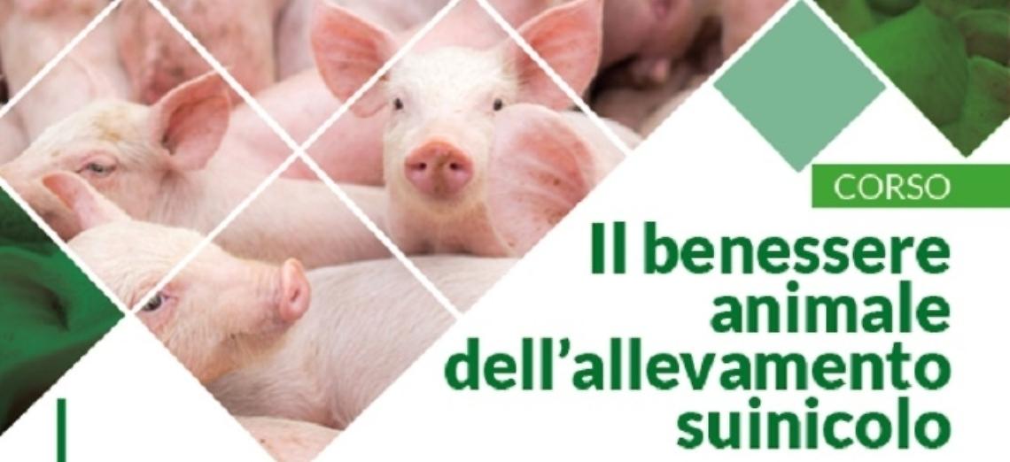 Corso Il benessere animale dell&rsquo;allevamento suinicolo